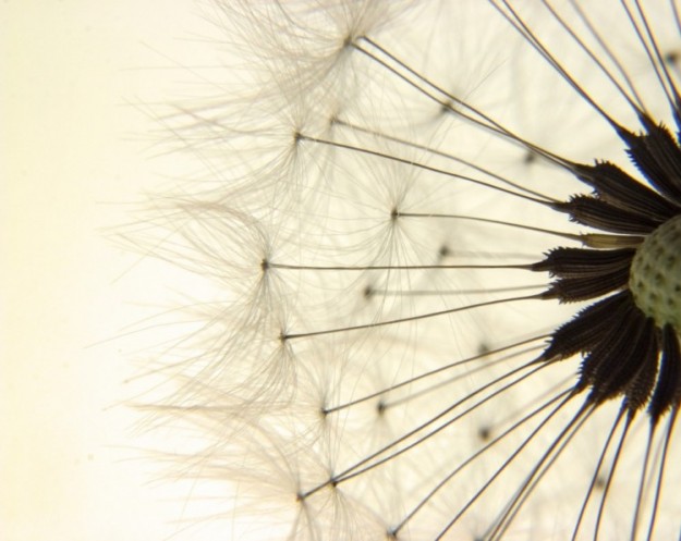 Breathe Easier Automotive Repair Saginaw MI Breathe Easier Automotive Repair Saginaw MI