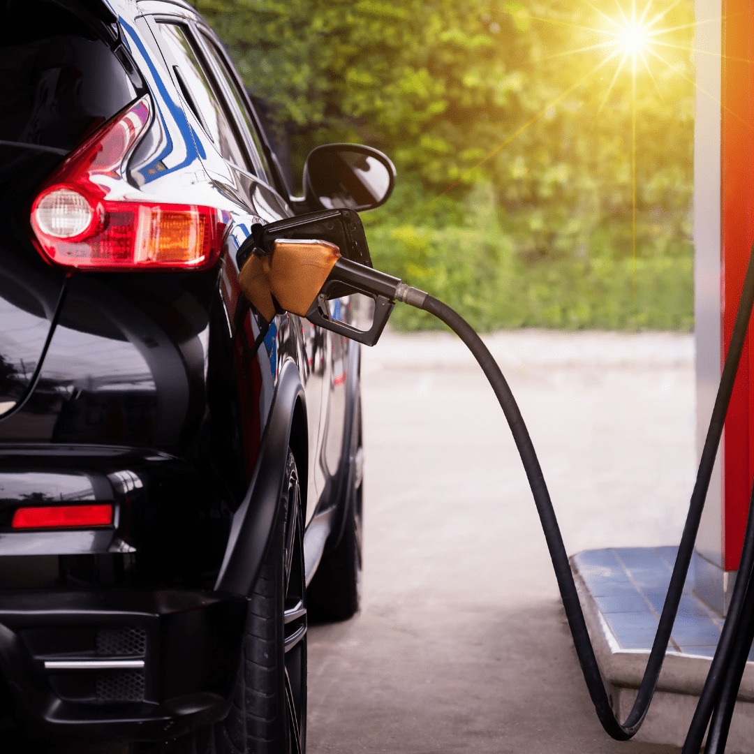 12 Ways To Save Monty On High Gas Prices